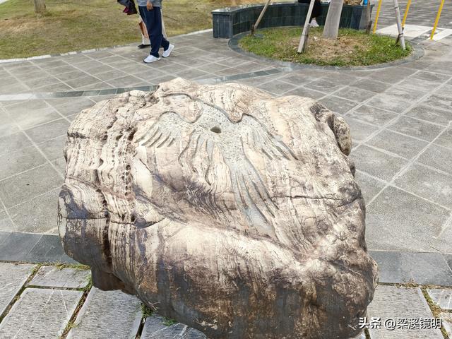 大雪时节，来汤山金乌公园晒暖阳、泡温泉（上）