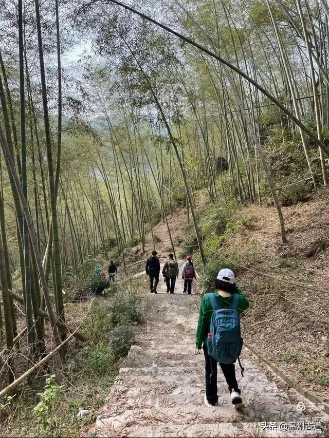 藏于浙江5A景区内有一处“十里铁甲龙”,洞穴众多形态奇特