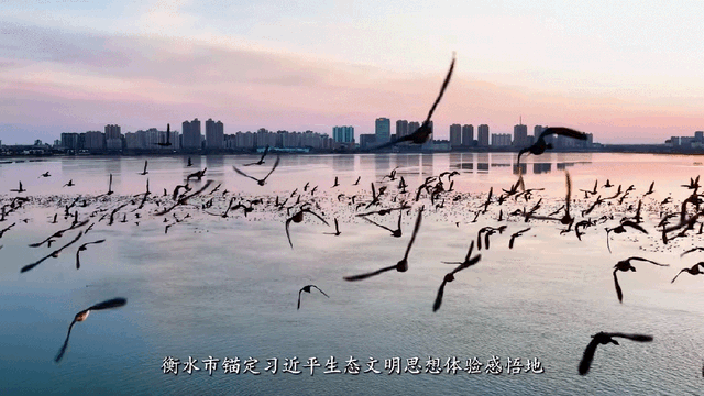 今天，带你认识一下，河北衡水！