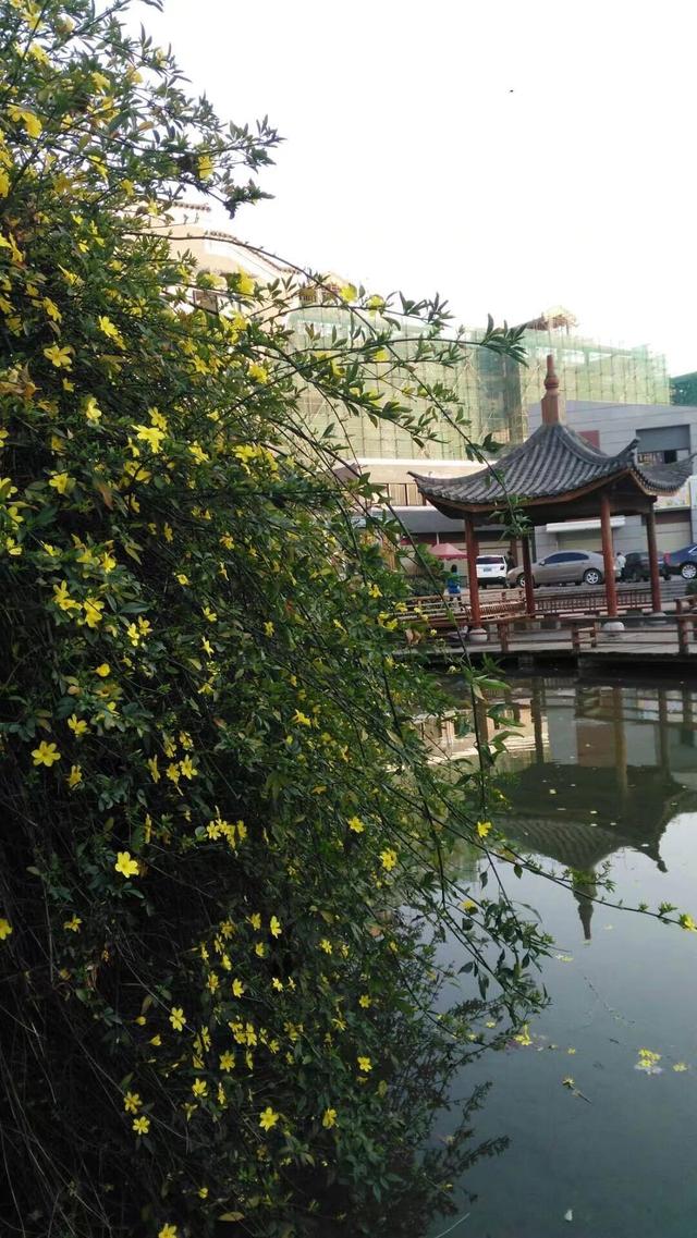 带着孙女去旅行（169）云南石林县印