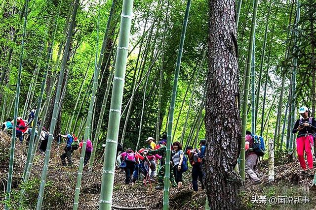 连城县赖源乡：打造四季“ ‘氧生’天堂” 徒步健身佳境