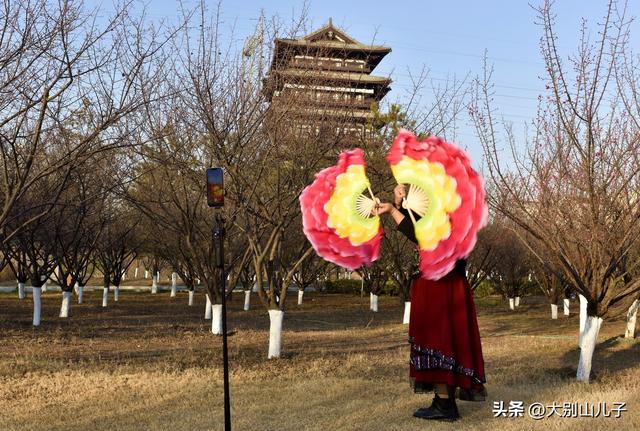 千金梅岭：红梅绽放喜迎元旦