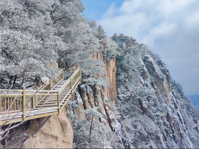 告别秋景，奔赴鸡峰山的第一场雪｜冬日旅行启动
