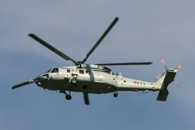 将打破我军纪录，陆海空军需要上千架直20，055大驱等不及了？图片