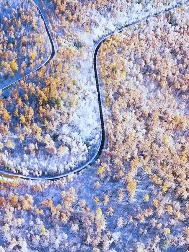 救命！呼伦贝尔的初冬怎么能这么让人沦陷