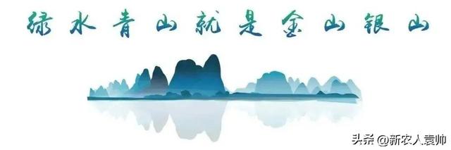 “我在彰武有棵树”生态主题研学游成果显著