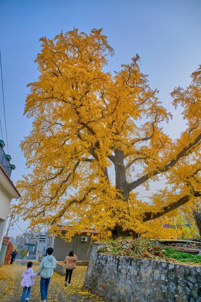 太全面了！8条游玩线路+京郊汤泉！带您玩转北京这里！（1）