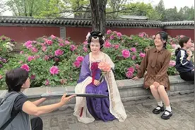 拍花 拍城 拍夜景 游客爱上“太原片场”图片