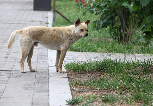 徜徉·太原古县城·太原