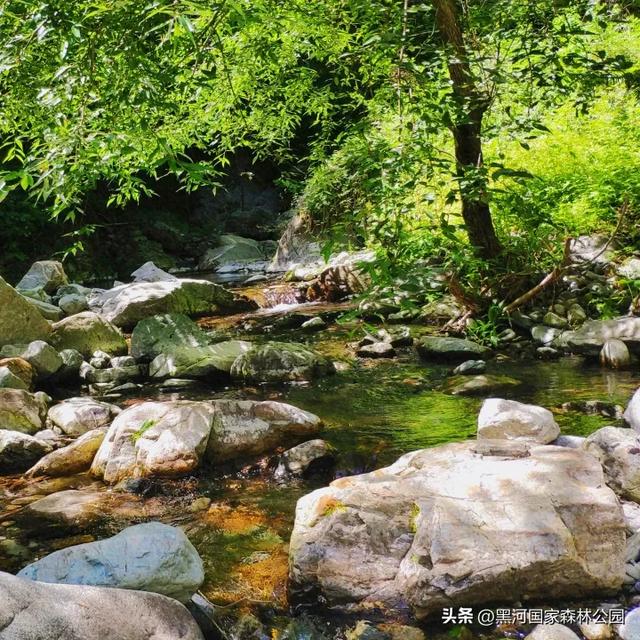 立秋已至，暑热未消，黑河山水与你相约“剩”夏的时光