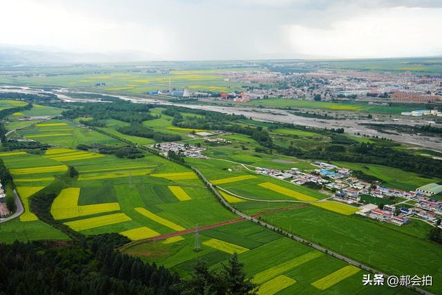 青海门源万亩油菜花海：登上四个观景点，各有风情入画来！
