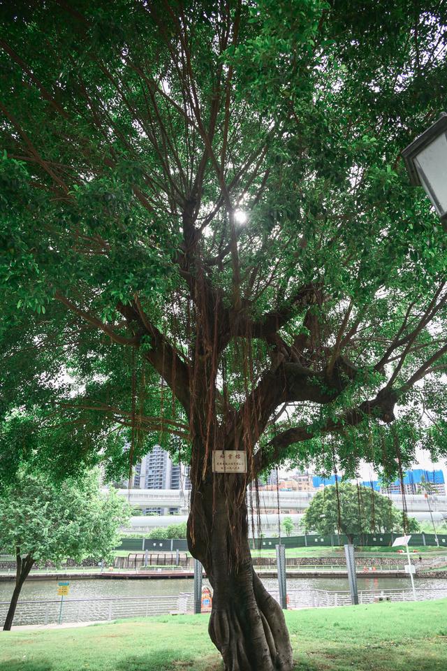 深活指南｜城市漫游指南·光明站