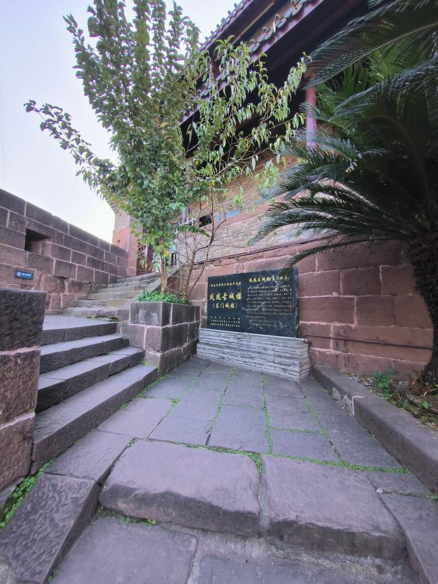 又见凤凰 美兮凤凰