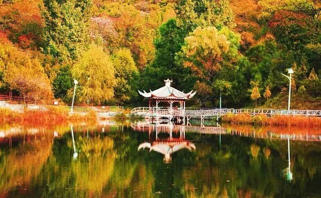 太美了！北京这里“红叶盛宴”即将上线