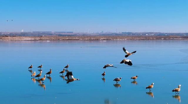 报告！前方到站北方海南→