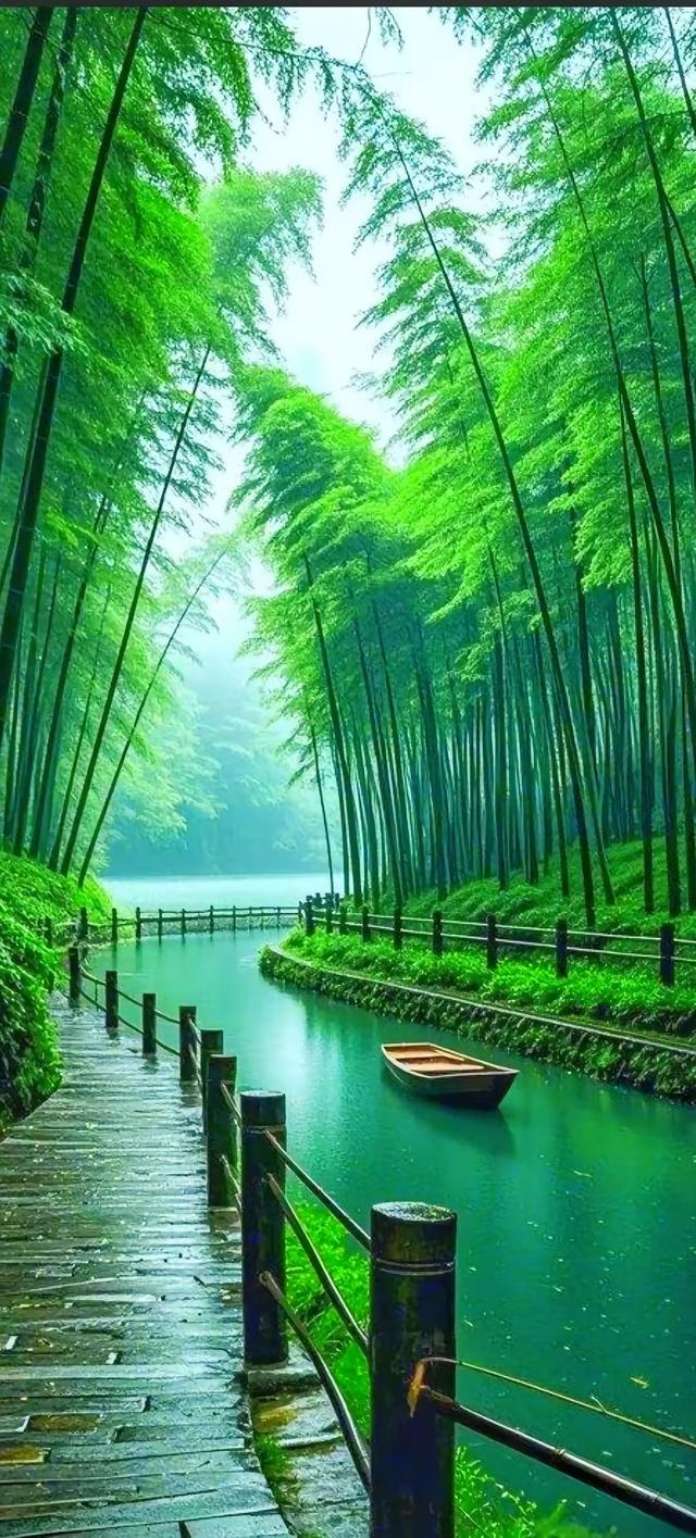 四季山行：草木绘就的时光诗卷