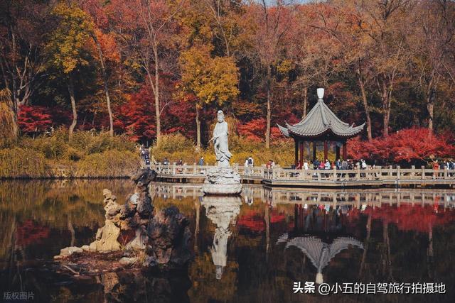 南京栖霞山赏枫实测攻略！四大赏枫地之首，免费入园 + 路线 + 出片