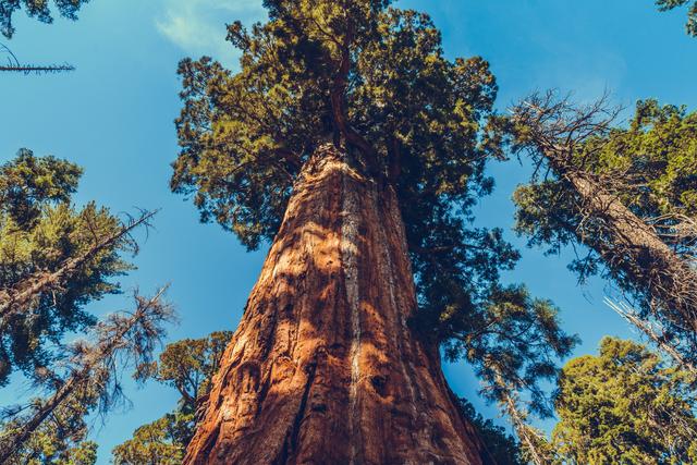 美西29天，我为什么要重走这条路线？