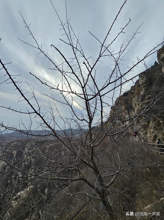 始祖山中华根脉，每周到此一游，不枉来世走一遭，身体心理都健康
