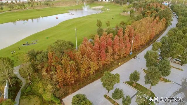 龙岩周末去哪儿｜秋的余温，藏在龙岩这些地方→