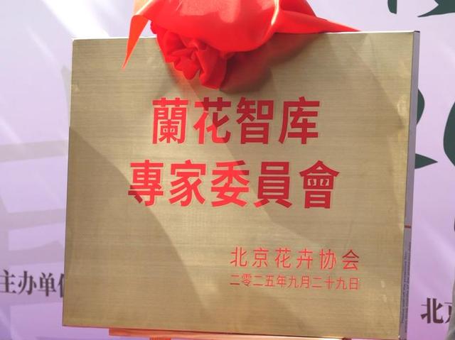 近200盆名兰！颐和园这个免费展览，展出至