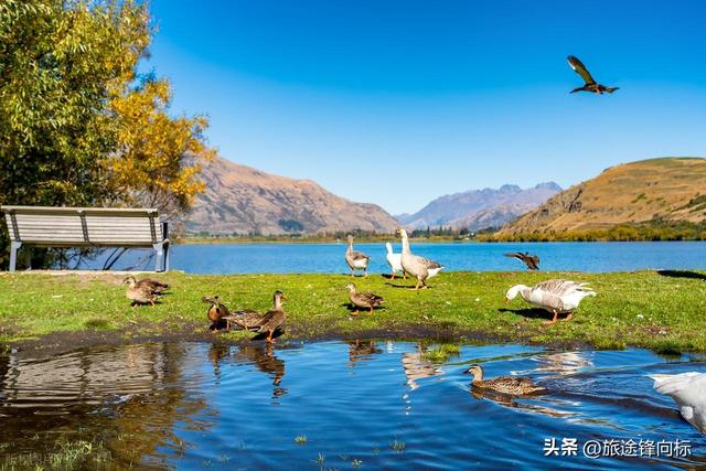 苏州 er 看过来，新西兰，一个超值得奔赴的梦幻国度