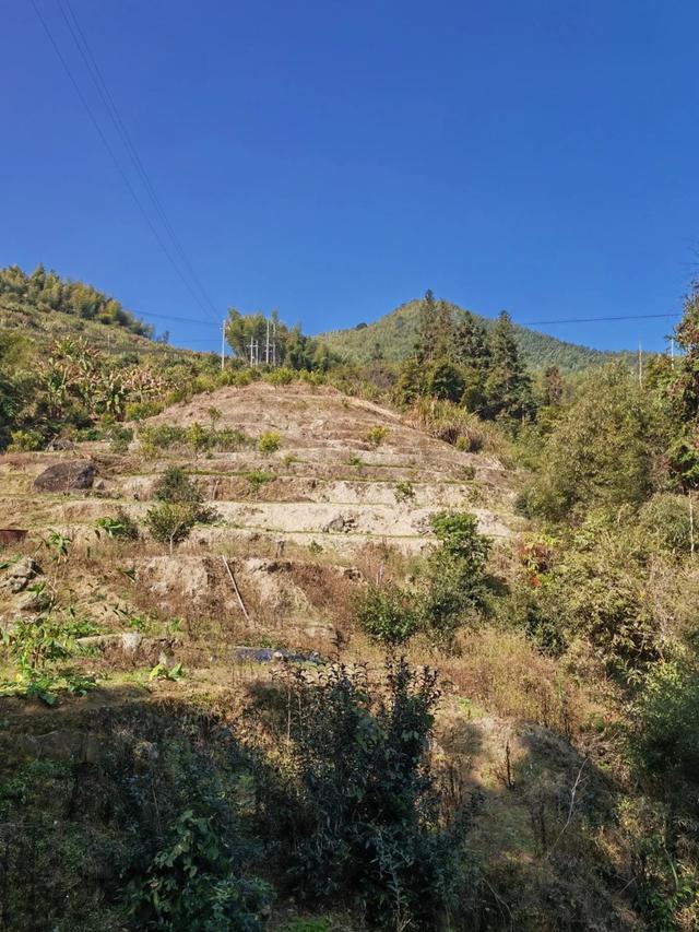 土楼拾光①:福建土楼景区——田螺坑片区（2025.2.9 漳州·南靖）