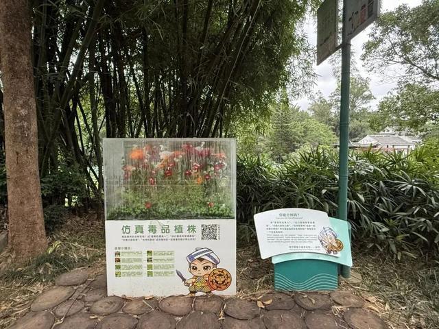 广西首个双语禁毒主题公园！邕仔陪你闯关，遛娃涨知识两不误～