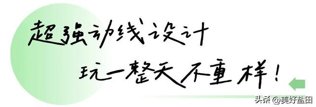 二刷、三刷……遛娃党解锁恩上湿地新玩法！