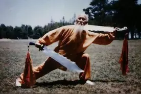 中国的长寿家族，百岁武术家吕紫剑图片