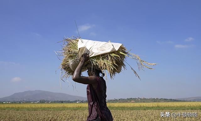小物件，大改变！非洲的中国力量