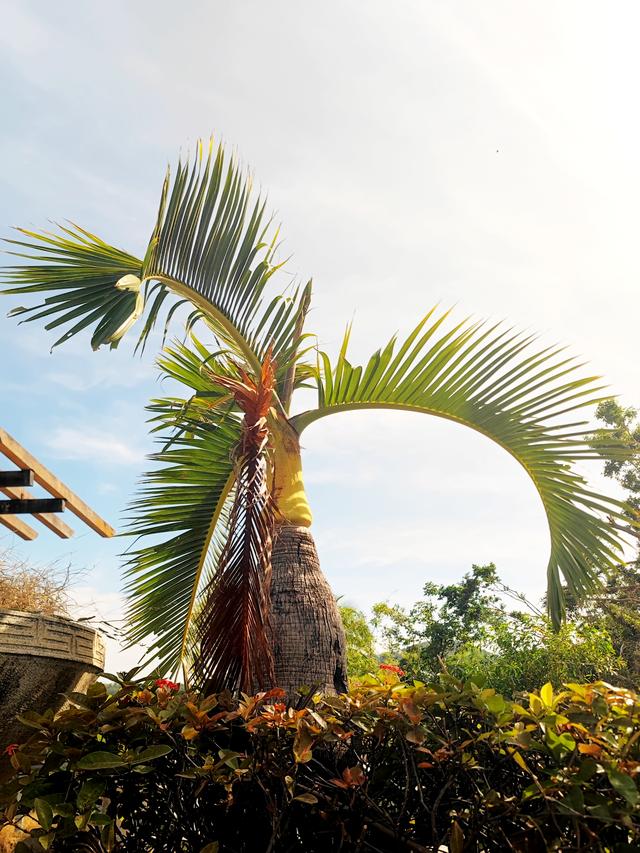 从新疆自驾到海南，车辆的消费怎样？