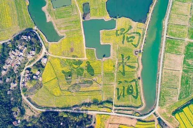 定向赛将至，来游峨桥美！11 月来 “茶香山水” 间解锁诗意乡村