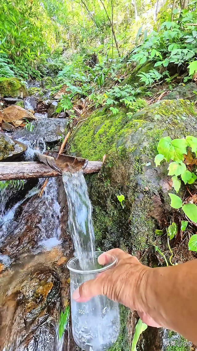 偶遇天平山上的小溪，测试结果竟然是优质山泉水