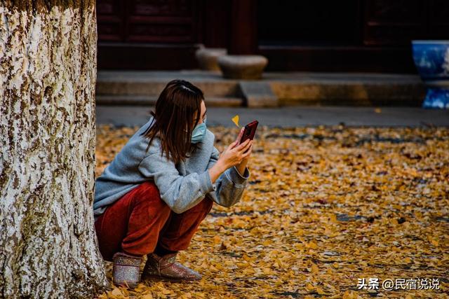 苏州居然还藏着一个“中国四大枫叶胜地”！