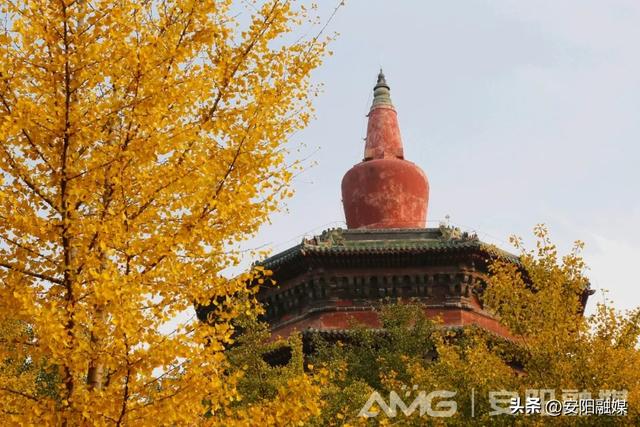 随手一拍都是大片！安阳深秋限定美景已上线→