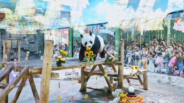 “花式”引客，火爆出圈！21℃的夏天收官，栾川文旅精彩不停