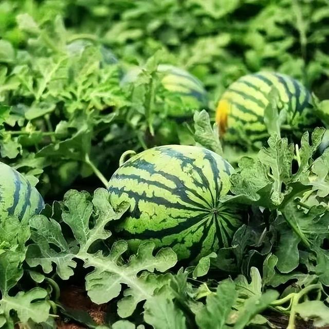 友城互荐 | 河海营口 在水一方 · 期待与您相约，向你讲述更多的营口故事。