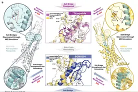 礼来减肥药替尔泊肽超全使用攻略，速看！图片