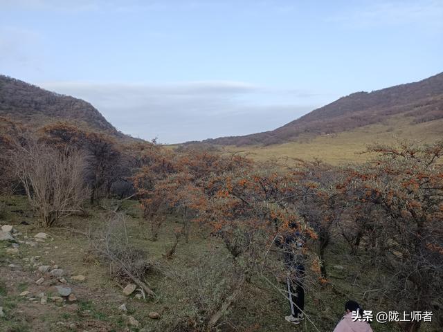 生活再忙也要来一趟张棉驿关山风光大道