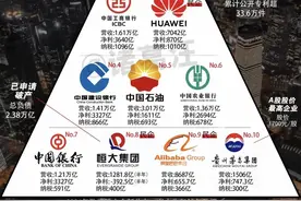 中国十大纳税企业图片