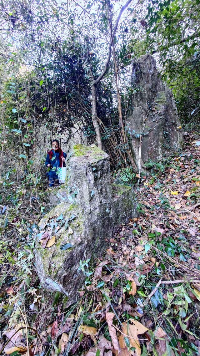 白鹤湾村与太子岭古道：一段镌刻历史与自然的千年传奇