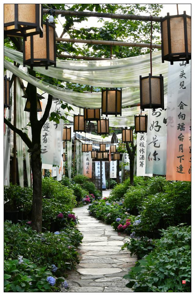 江西上饶望仙谷（二）