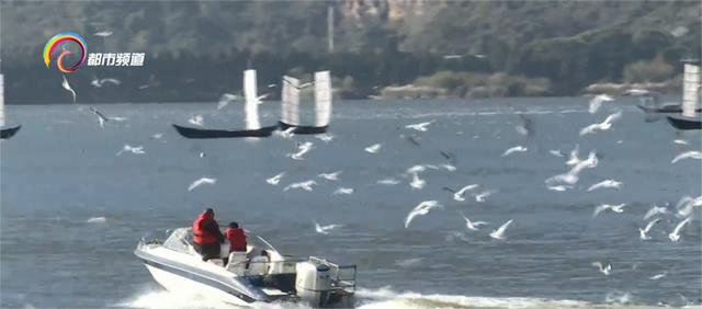 坐着公交去赏冬 昆明公交推出25条冬日主题游线路