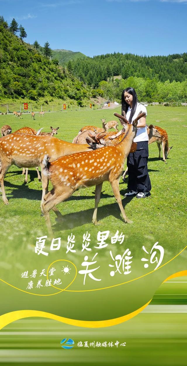 9张海报！带你打卡临夏夏日清凉秘境——关滩沟