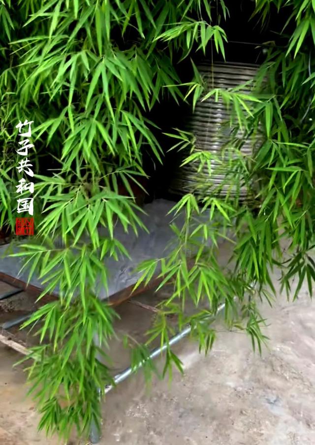 不要再去看黄果树瀑布了！