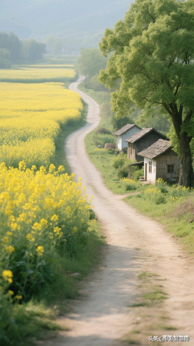 探访