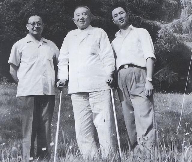 罗瑞卿在德国突然逝世，不是因为腿疾手术而是突发心梗没抢救过来