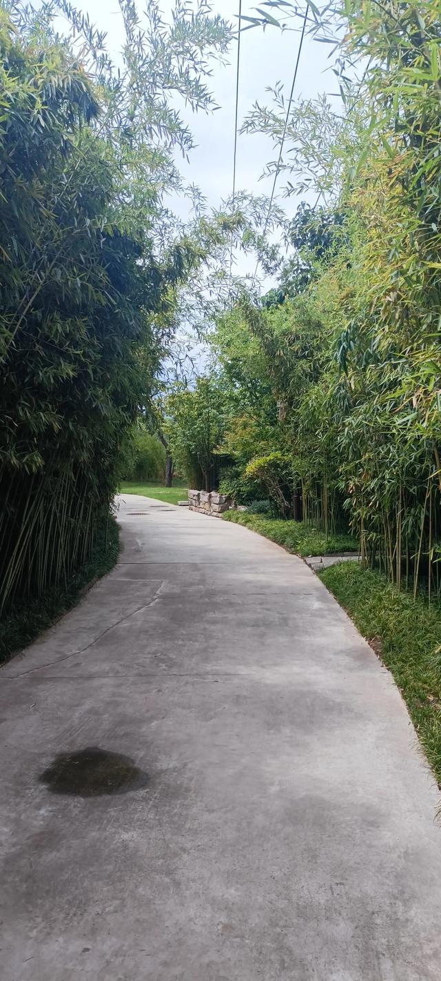 唐村古街道成了短剧拍摄网红地