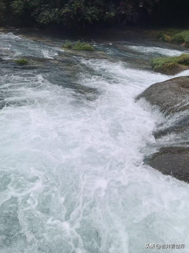 七孔映情 || 井明新